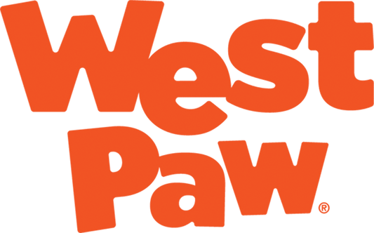 "Sustainable Pet Play: Top Eco-Friendly Toys for Dogs in 2025"