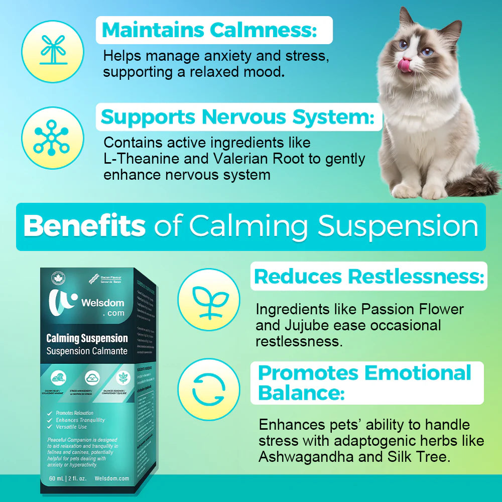 Welsdom Calming Comfort Drops - 60mL