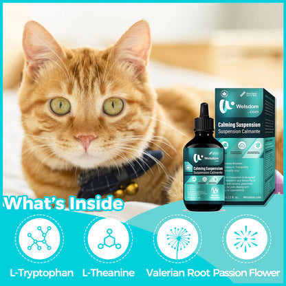 Welsdom Calming Comfort Drops - 60mL