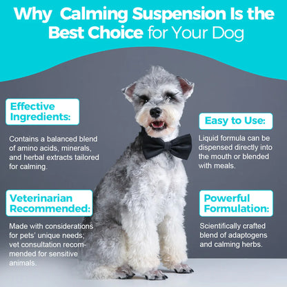 Welsdom Calming Comfort Drops - 60mL